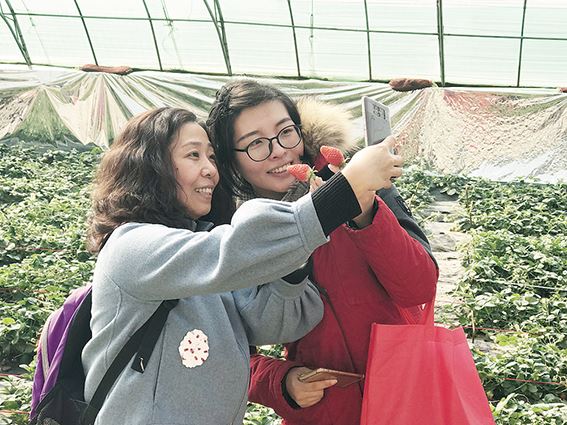 333体育-全网最全最有氛围的体育赛事直播平台内容图片展示